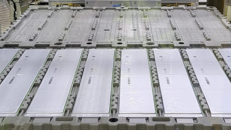 Lithium iron phosphate battery cells arranged in trays during manufacturing