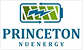 Princeton NuEnergy